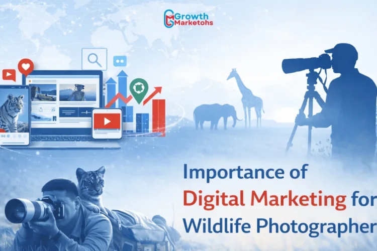 Digital marketing for wildlife photographer is great assest to drive qualified leads